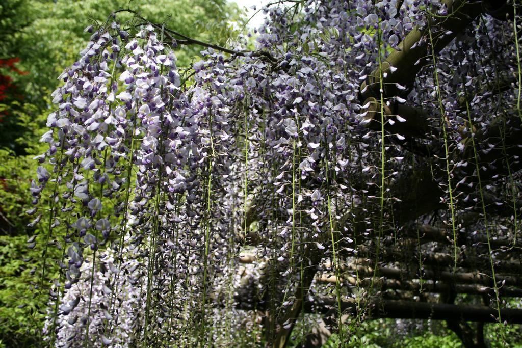 Hotel Senkyoro Hakone Exterior foto